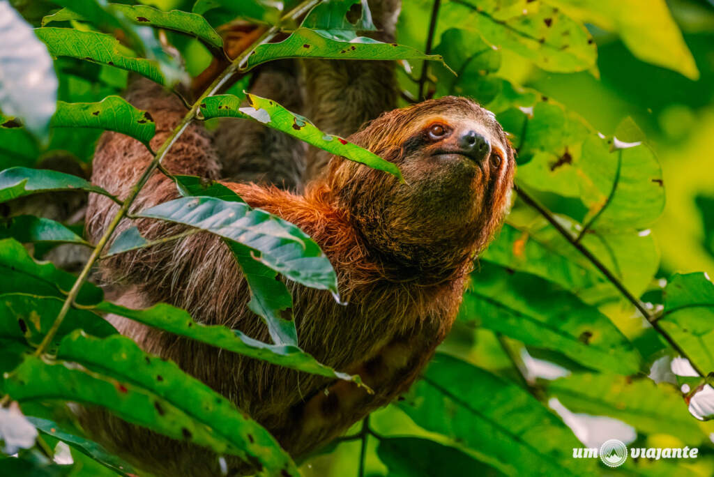 Parque Nacional Manuel Antonio - Costa Rica