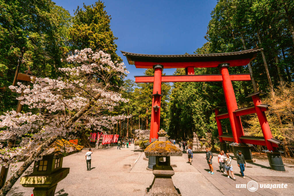 Passeio Monte Fuji Japão com guia brasileiro