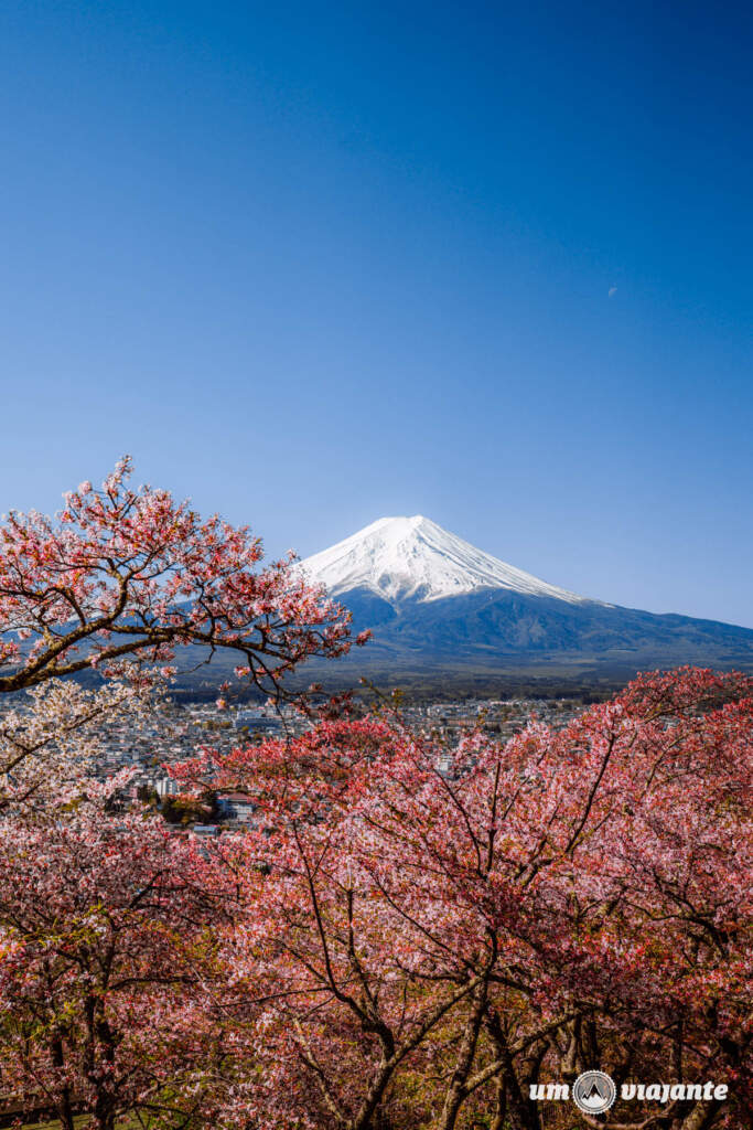 Os mirantes mais lindos para o Monte Fuji - Passeio Fuji com guia