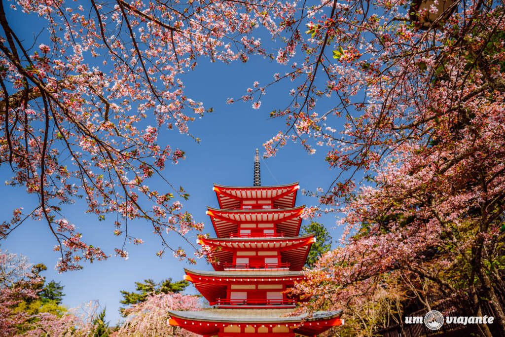 Chureito Pagoda na Florada das Cerejeiras - Passeio Monte Fuji