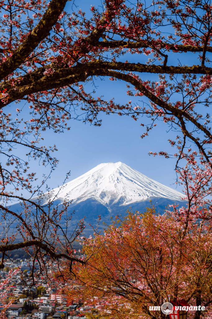 Os mirantes mais lindos para o Monte Fuji - Passeio Fuji com guia