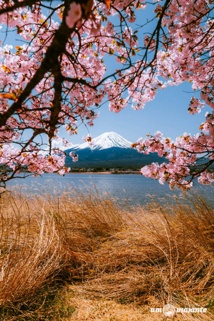 Os mirantes mais lindos para o Monte Fuji - Passeio Fuji com guia