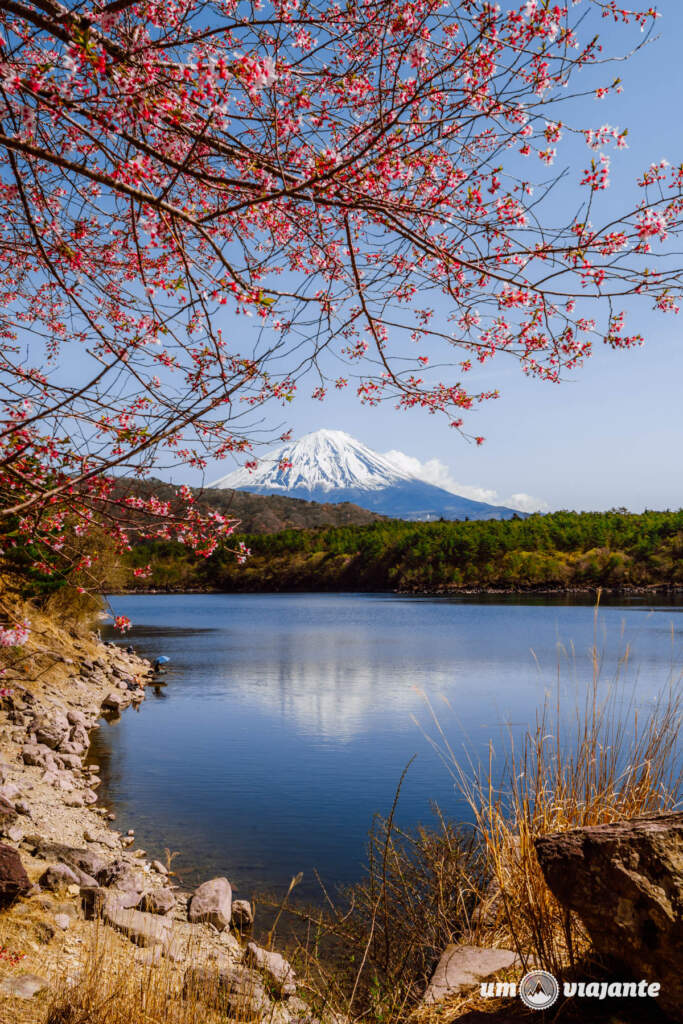 Lagos Monte Fuji, Passeio 1 Dia com guia brasileiro