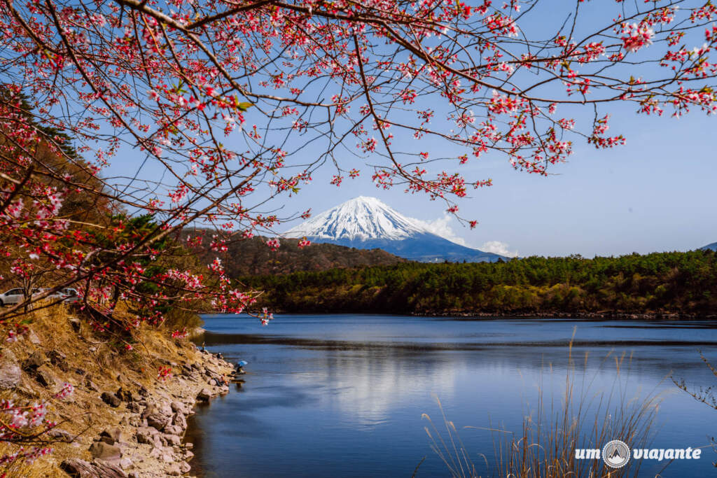 Passeio Monte Fuji Japão com guia brasileiro
