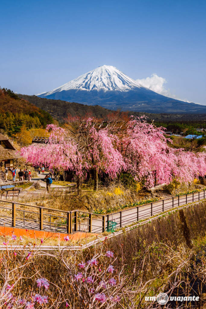Passeio Monte Fuji Japão com guia brasileiro