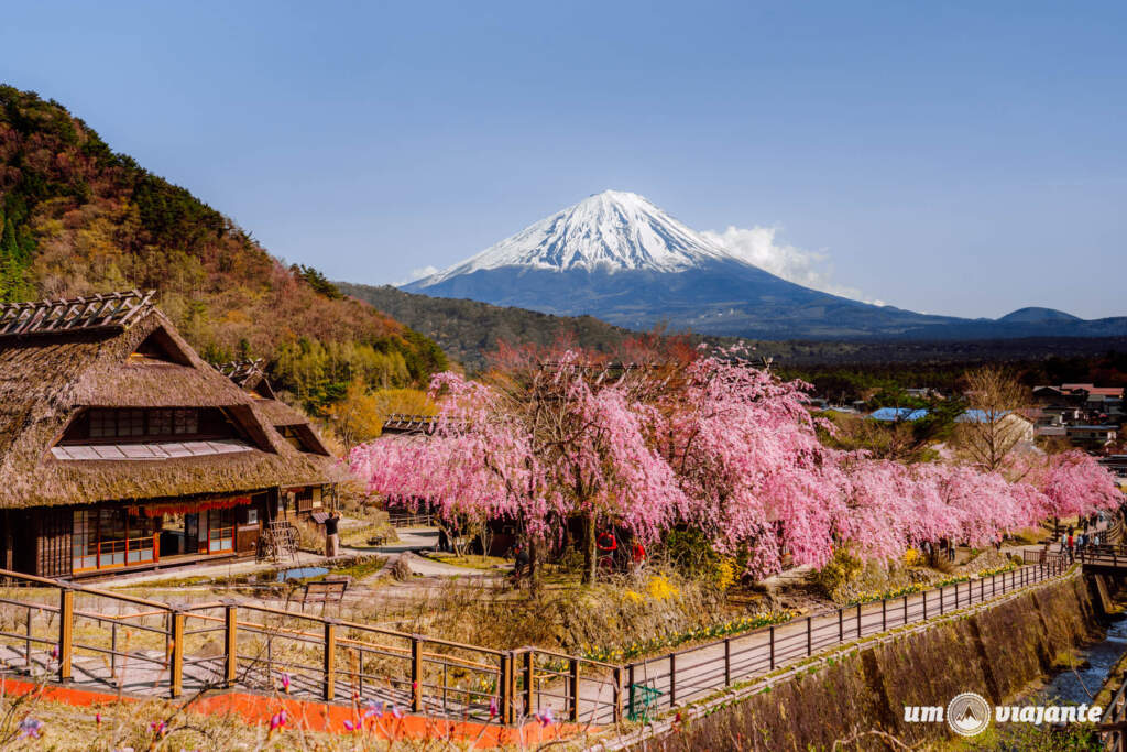 Passeio Monte Fuji Japão com guia brasileiro