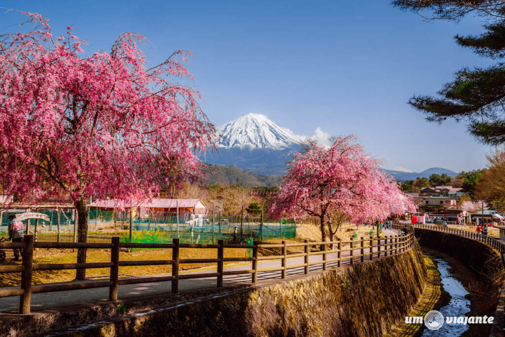 Passeio Monte Fuji Japão com guia brasileiro