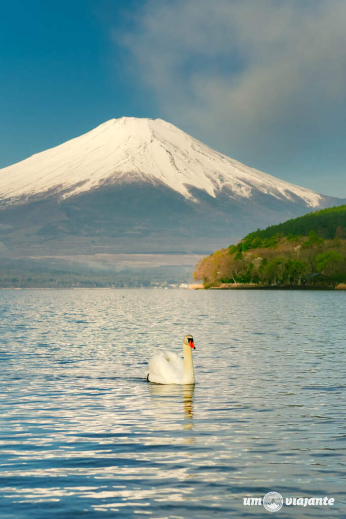 Passeio Monte Fuji Japão com guia brasileiro