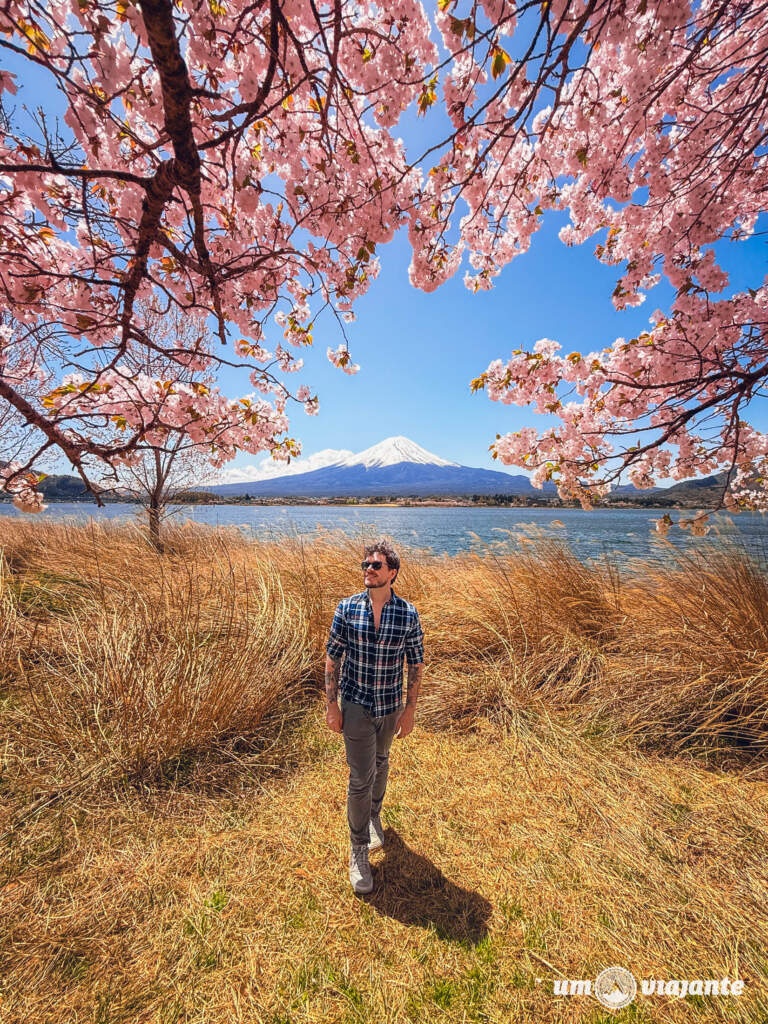 Os mirantes mais lindos para o Monte Fuji - Passeio Fuji com guia