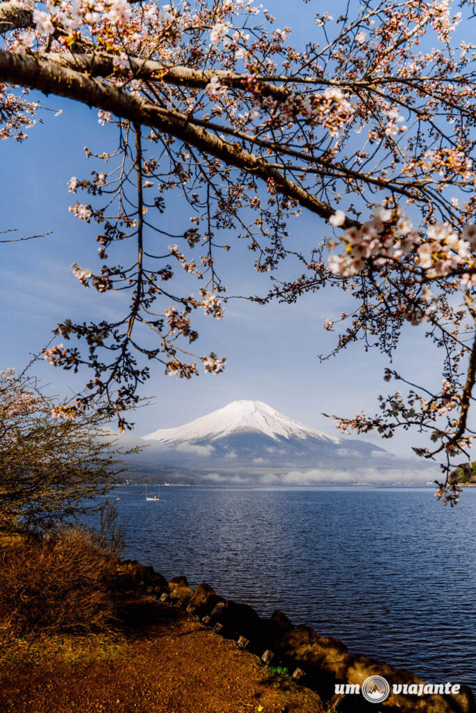 Lagos Monte Fuji, Passeio 1 Dia com guia brasileiro