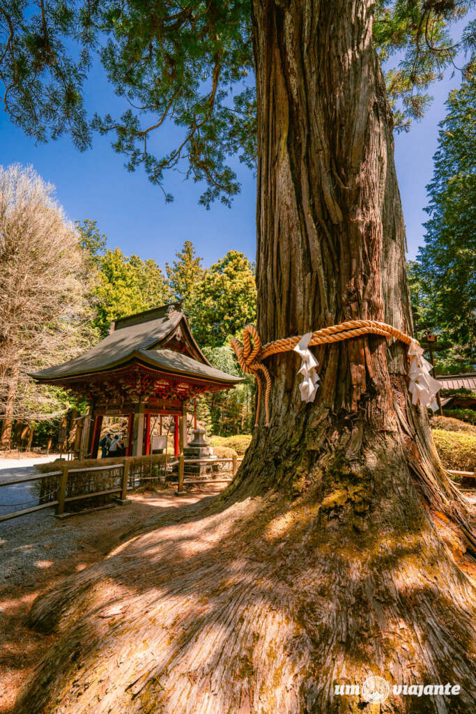 Passeio Monte Fuji Japão com guia brasileiro