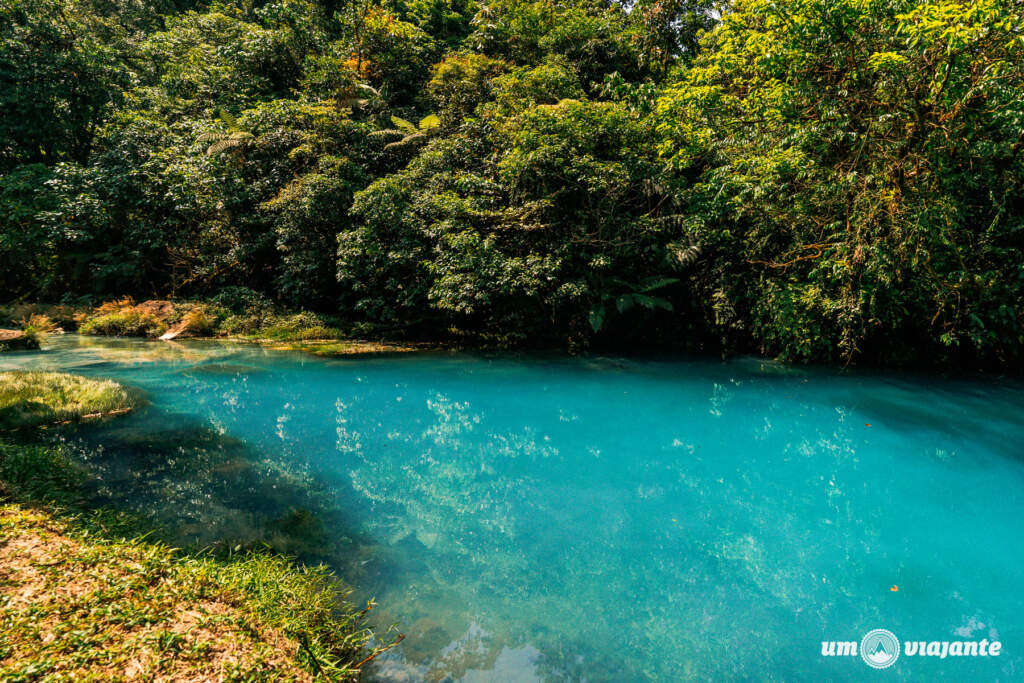 Río Celeste (Parque Nacional Tenorio)