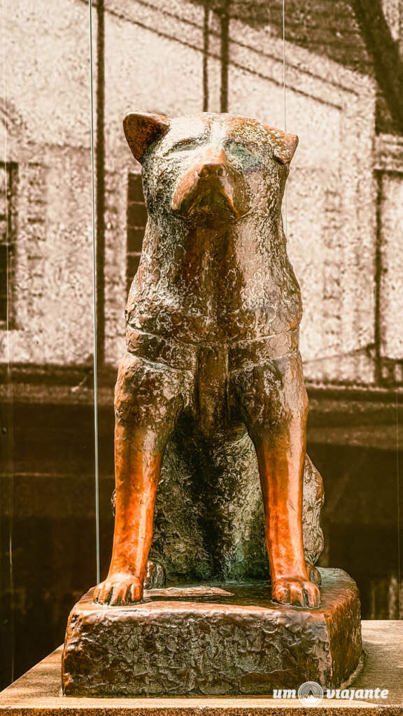 Hachiko, Roteiro Tóquio