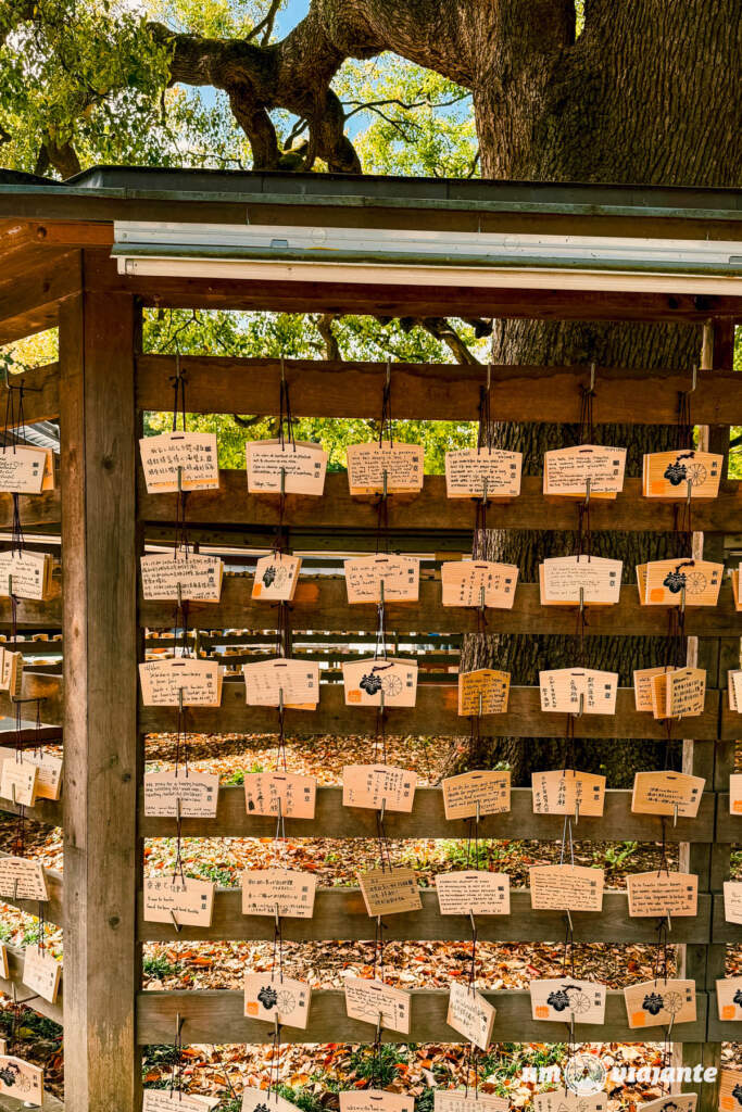 Santuário Meiji, Roteiro Tóquio