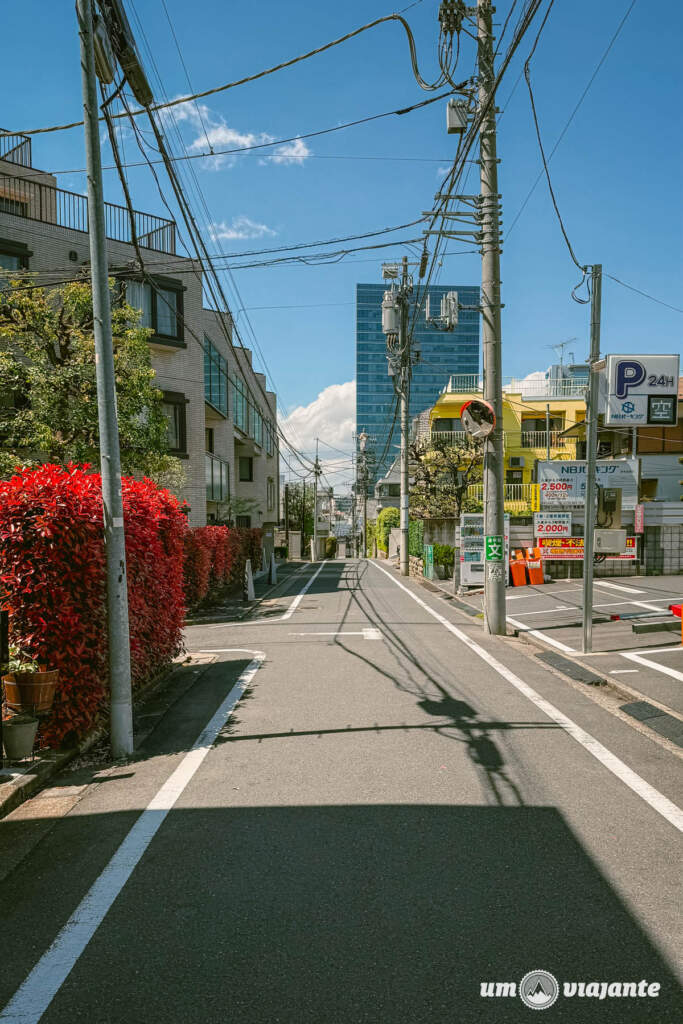 Omotesando, Roteiro Tóquio
