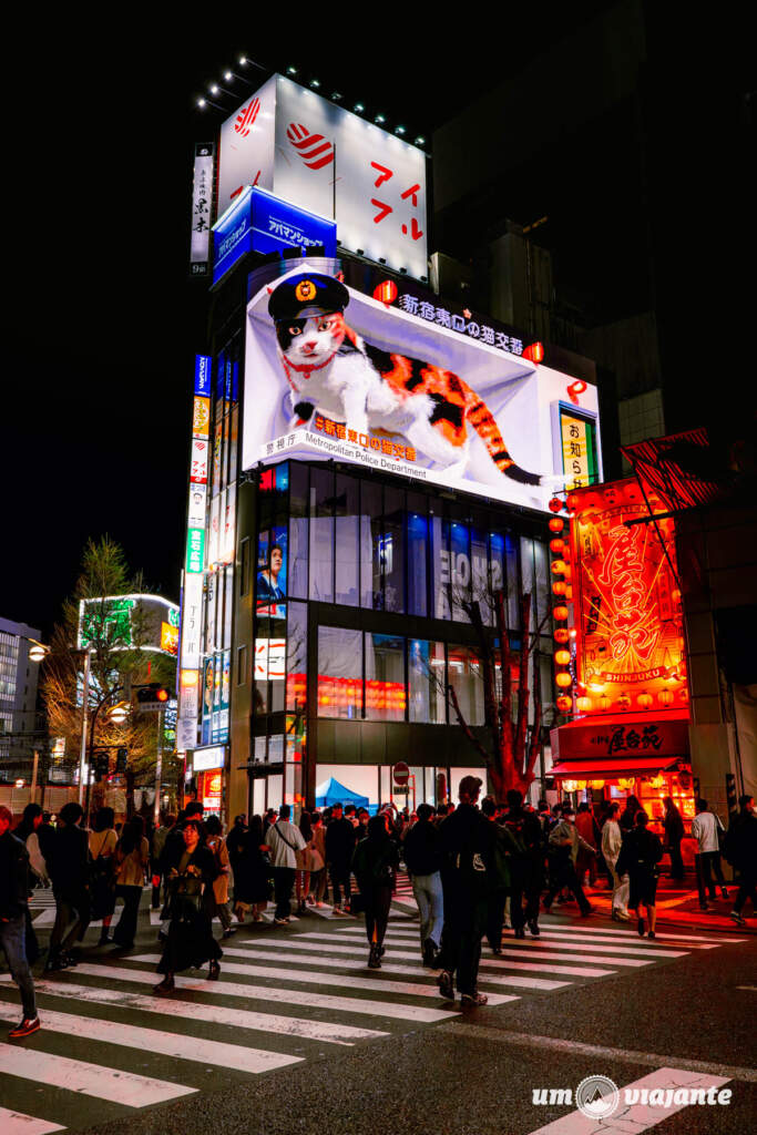 Shinjuku - Roteiro Tóquio, Japão