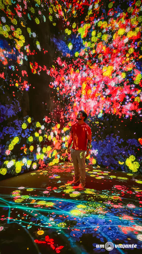 teamLab Borderless, Roteiro Tóquio
