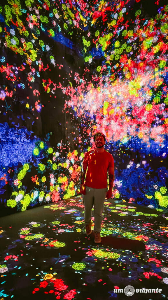 teamLab Borderless, Roteiro Tóquio