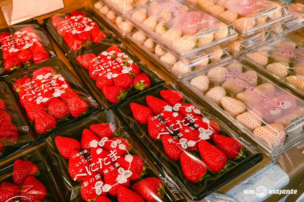 Tsukiji Market, Roteiro Tóquio