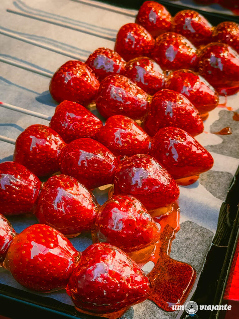 Tsukiji Market, Roteiro Tóquio