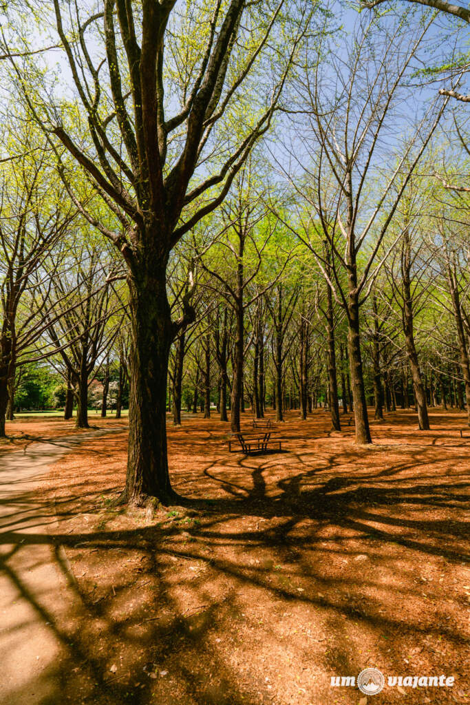  Parque Yoyogi, Roteiro Tóquio